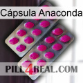 Cápsula Anaconda 10